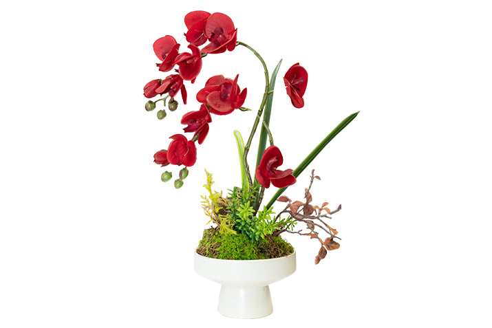 Luxury Real-Touch Orchid Arrangement with Designer Vase