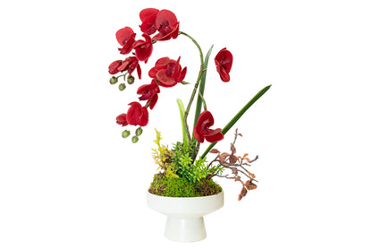 Luxury Real-Touch Orchid Arrangement with Designer Vase