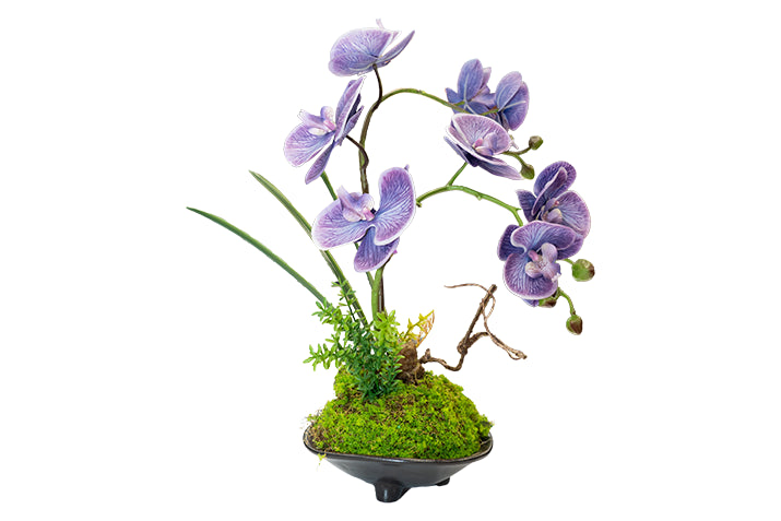 Luxury Real-Touch Orchid Arrangement with Designer Vase
