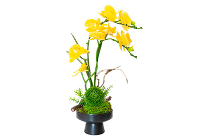 Luxury Real-Touch Orchid Arrangement with Designer Vase