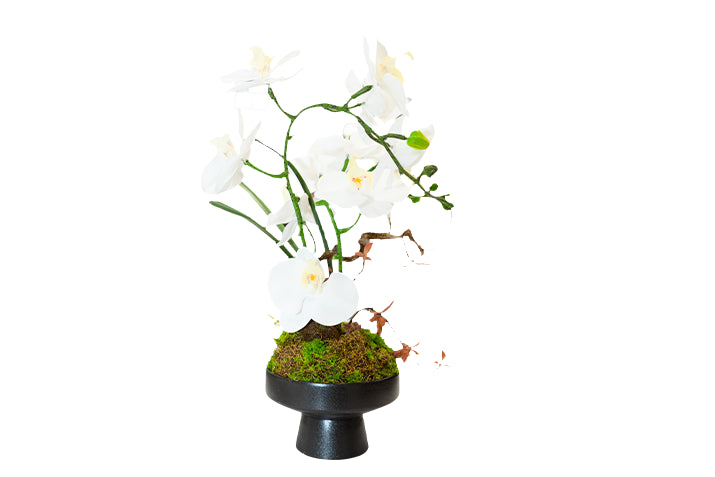 Luxury Real-Touch Orchid Arrangement with Designer Vase