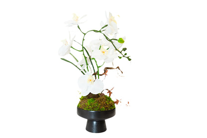 Luxury Real-Touch Orchid Arrangement with Designer Vase
