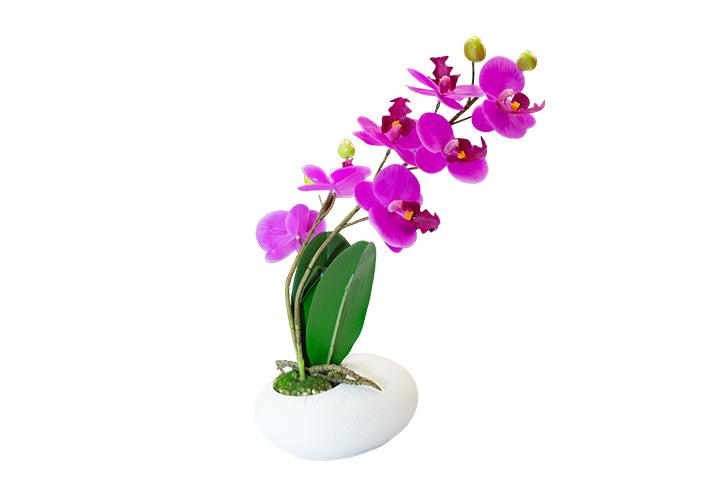 Small and Premium Real-Touch Orchid Collection with Designer Vase