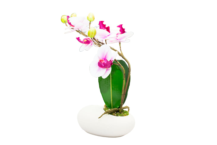 Small and Premium Real-Touch Orchid Collection with Designer Vase