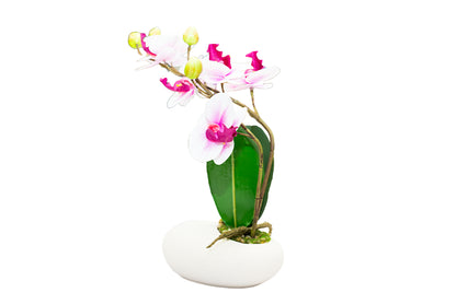Small and Premium Real-Touch Orchid Collection with Designer Vase