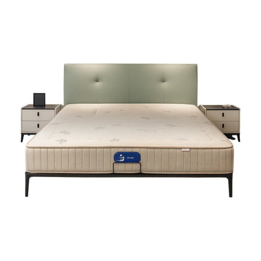 Modern pastel green upholstered bed with black legs