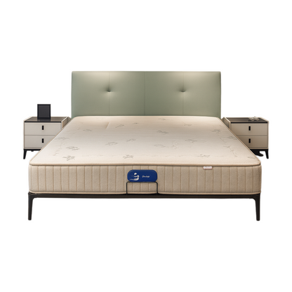 Modern pastel green upholstered bed with black legs